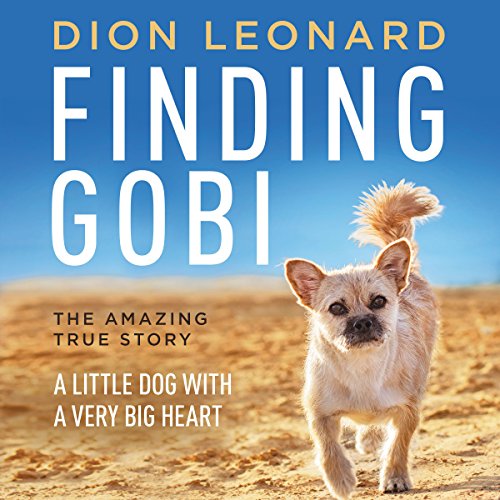 Finding Gobi: A Little Dog with a Very Big Heart